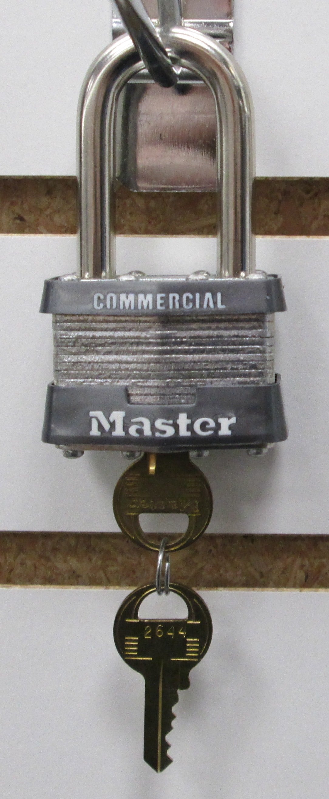 Master Laminated Padlock Model #1