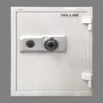 Hollon 2 Hour Safe HS530WD