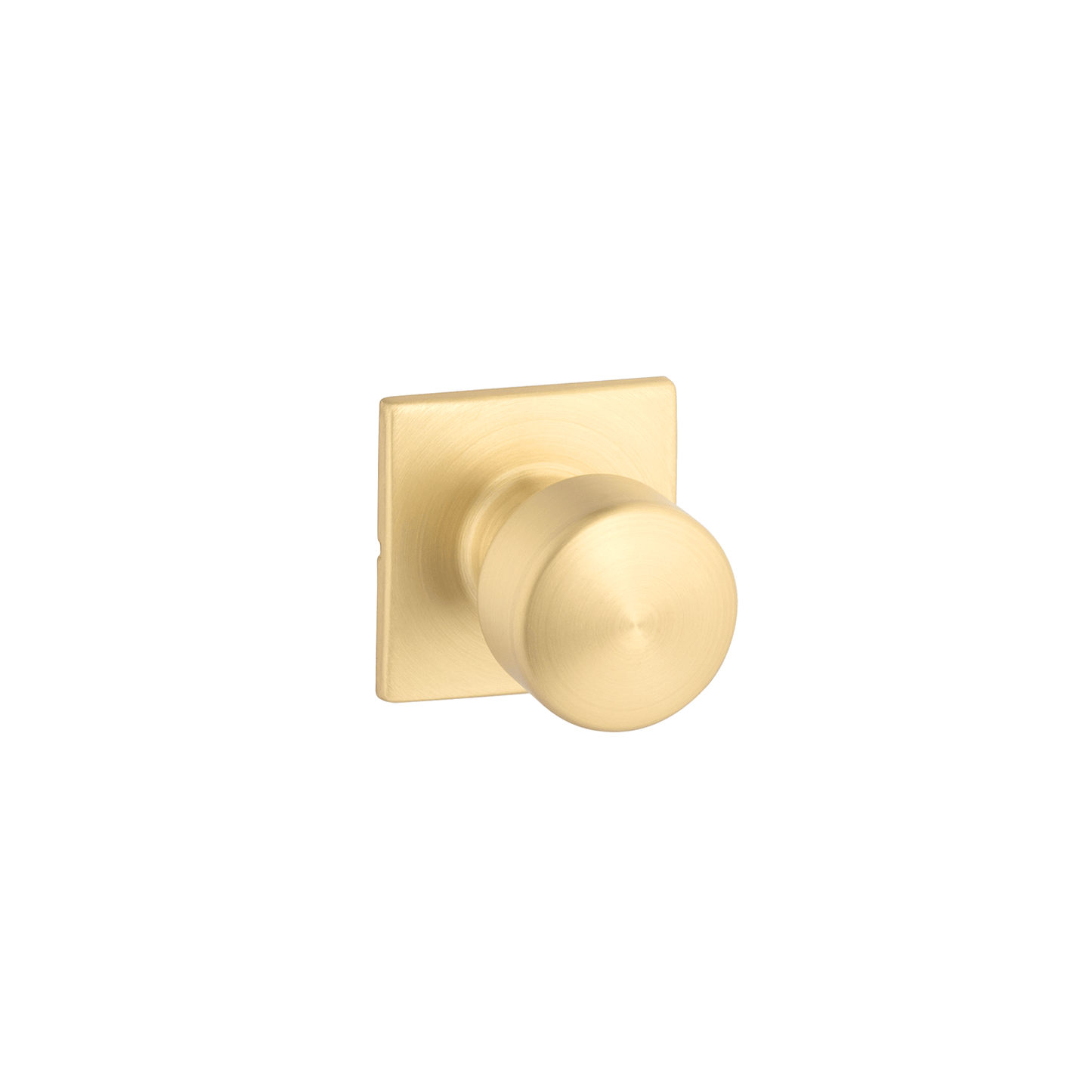 Marcel Rosette with Dylan Knob